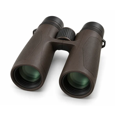 Иллюстрация: Blaser